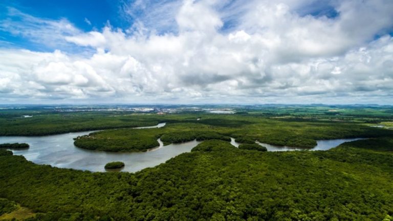 floresta-amazonica-2-1200x675-1